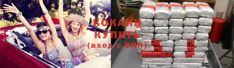 Cocaine Fish Scale  где можно купить   мега онион  Высоцк 